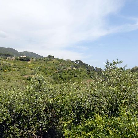 Villa Caribe Affittacamere Monterosso al Mare Bagian luar foto